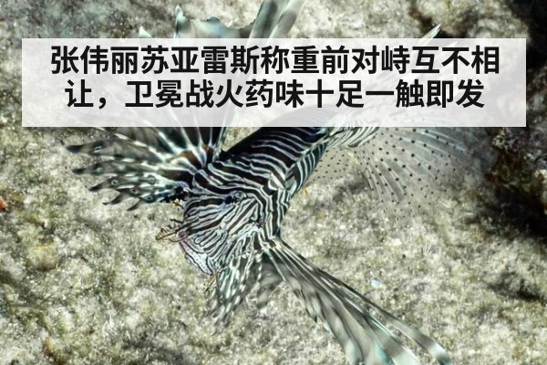 张伟丽苏亚雷斯称重前对峙互不相让，卫冕战火药味十足一触即发