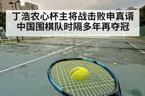 丁浩农心杯主将战击败申真谞 中国围棋队时隔多年再夺冠